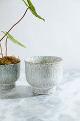 Hayden Pots By Accent Decor