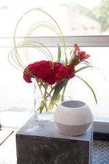 Avon Ceramic Pot By Accent Decor