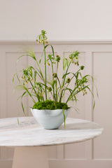 Meadowlark Bowls By Accent Decor