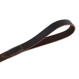 Circle T Latigo Leather Dog Leash, 6'