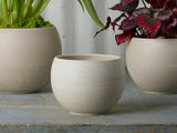 Astrid Ceramic Pots By Accent Decor