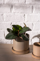 Hawthorne Ceramic Pots By Accent Decor