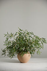 Kastanos Textured Matte Vases By Accent Decor