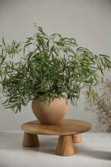 Kastanos Textured Matte Vases By Accent Decor