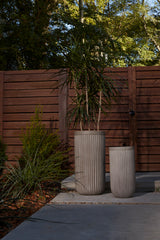 Oakland Concrete Planter By Accent Decor