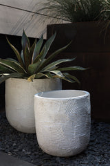 Greta Textured Concrete Pot By Accent Decor
