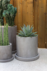 Marta Concrete Pot By Accent Decor
