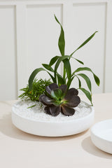 Zane Concrete Bowls By Accent Decor