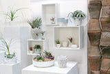 Zane Concrete Bowls By Accent Decor
