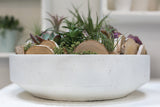 Zane Concrete Bowls By Accent Decor