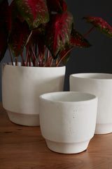 Glendale Concrete Decorative Accents By Accent Decor