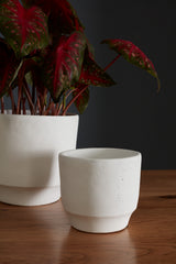 Glendale Concrete Decorative Accents By Accent Decor