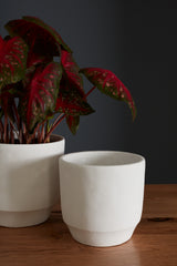 Glendale Concrete Decorative Accents By Accent Decor
