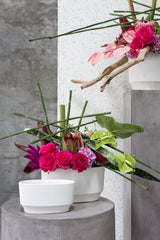 Glendale Concrete Decorative Accents By Accent Decor
