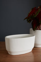 Glendale Concrete Decorative Accents By Accent Decor