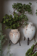 Tuscan with Concrete Planters By Accent Decor