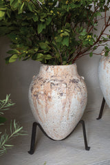 Tuscan with Concrete Planters By Accent Decor