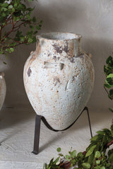 Tuscan with Concrete Planters By Accent Decor
