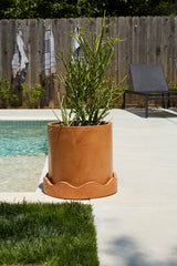 Neda Concrete Pots By Accent Decor