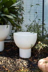 Sloan Concrete Planter By Accent Decor