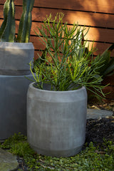 Caldwell Concrete Planter By Accent Decor