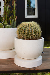 Archer Concrete Planters By Accent Decor