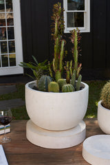 Archer Concrete Planters By Accent Decor