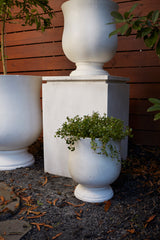 Hilltop Concrete Decorative Urn By Accent Decor