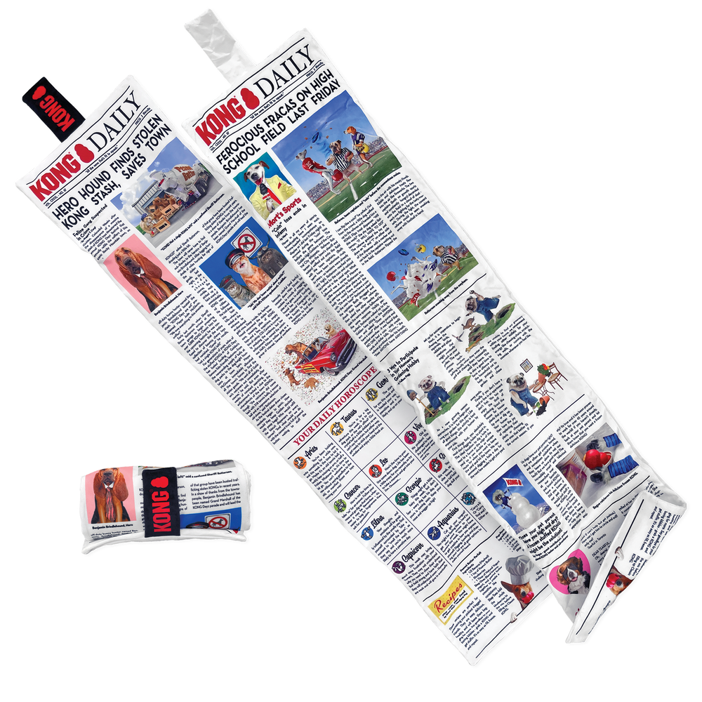 KONG Daily Newspaper Dog Toy, X-Large