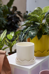 Pissaro with Saucer Matte Wavy Pots By Accent Decor