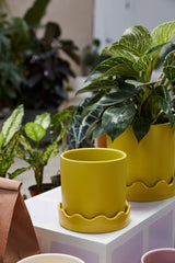 Pissaro with Saucer Matte Wavy Pots By Accent Decor