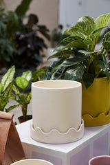 Pissaro with Saucer Matte Wavy Pots By Accent Decor