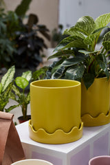 Pissaro with Saucer Matte Wavy Pots By Accent Decor