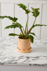 Pissaro Pots By Accent Decor