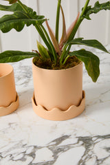 Pissaro Pots By Accent Decor