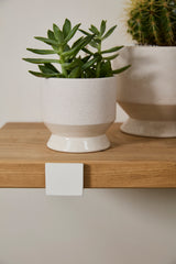 Neutral Pasadena Matte Footed Pots By Accent Decor