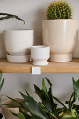 Neutral Pasadena Matte Footed Pots By Accent Decor