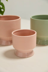Pasadena Matte Footed Pots By Accent Decor