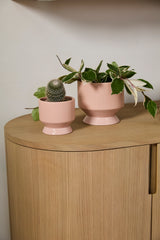 Pasadena Matte Footed Pots By Accent Decor