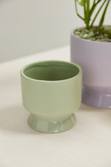 Pasadena Matte Footed Pots By Accent Decor