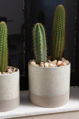 Downy Ceramic Pots By Accent Decor