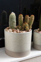 Downy Ceramic Pots By Accent Decor