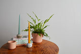 Jamye Ceramic Pots By Accent Decor