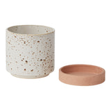 Briar Ceramic Pots By Accent Decor