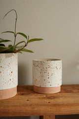 Briar Ceramic Pots By Accent Decor