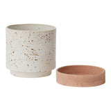 Briar Ceramic Pots By Accent Decor