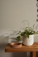 Briar Ceramic Pots By Accent Decor