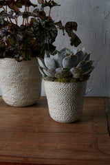 Amstel Ceramic Pots By Accent Decor