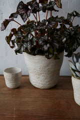 Amstel Ceramic Pots By Accent Decor