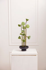 Nightingale Matte Ceramic Compotes By Accent Decor